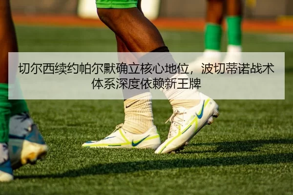 qie-er-xi-xu-yue-pa-er-mo-que-li-he-xin-di-wei-bo-qie-di-nuo-zhan-shu-ti-xi-shen-du-yi-lai-xin-wang-pai-2-385.jpg