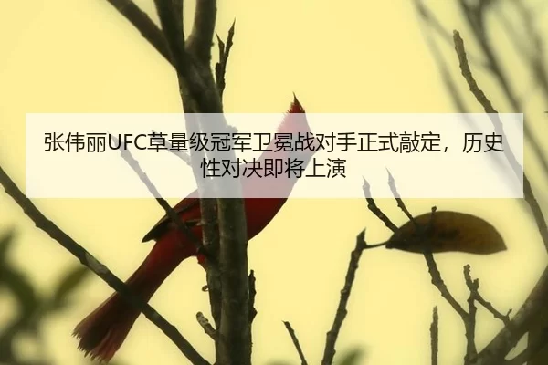 张伟丽UFC草量级冠军卫冕战对手正式敲定，历史性对决即将上演
