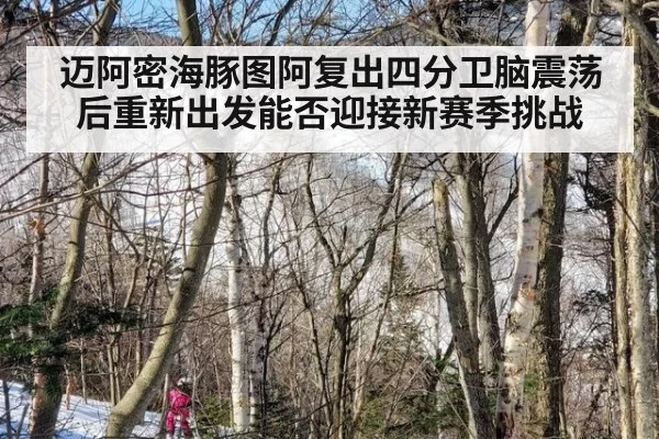迈阿密海豚图阿复出四分卫脑震荡后重新出发能否迎接新赛季挑战