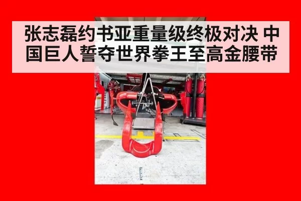张志磊约书亚重量级终极对决 中国巨人誓夺世界拳王至高金腰带